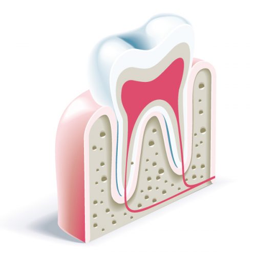 dr_stumbaum_endodontie